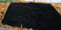 Andrew Dadson, Black Meadow, 2010