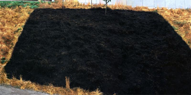 Andrew Dadson, Black Meadow, 2010