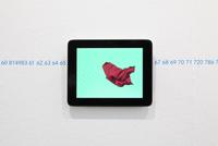 Darren Bader, Video file, 2013