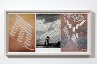 Gabriel Kuri, Untitled (butterflies), 2013