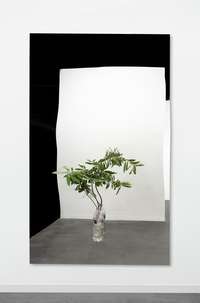 Henrik Håkansson, A Painting of a Tree (Laurum nobilis), 2021