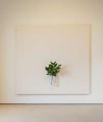 Henrik Håkansson, A Painting of a Tree (Prunus Laurocerasus), 2023