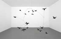 Henrik Håkansson, Untitled Swarm (Sturnus vulgaris) #3, 2011