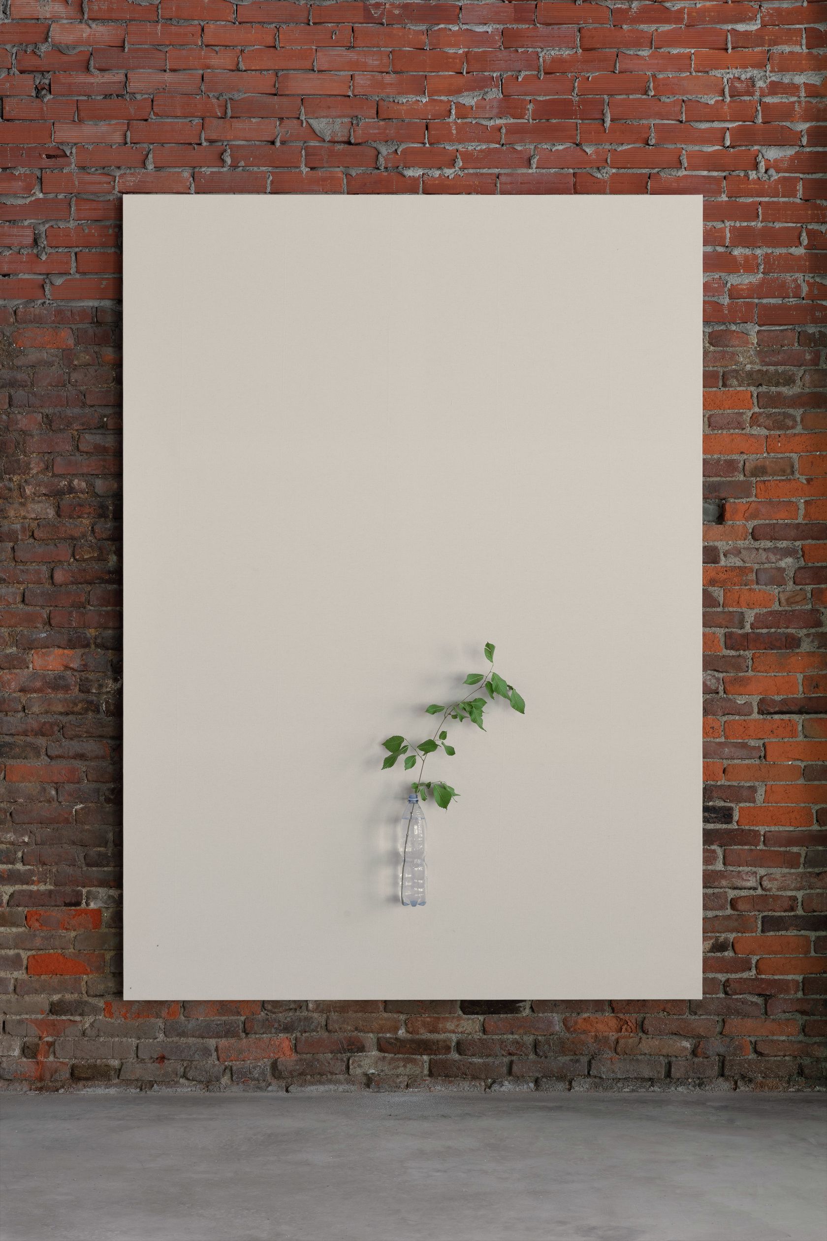 Henrik Håkansson, A Painting of a Tree (Ulmus pumilia), 2021