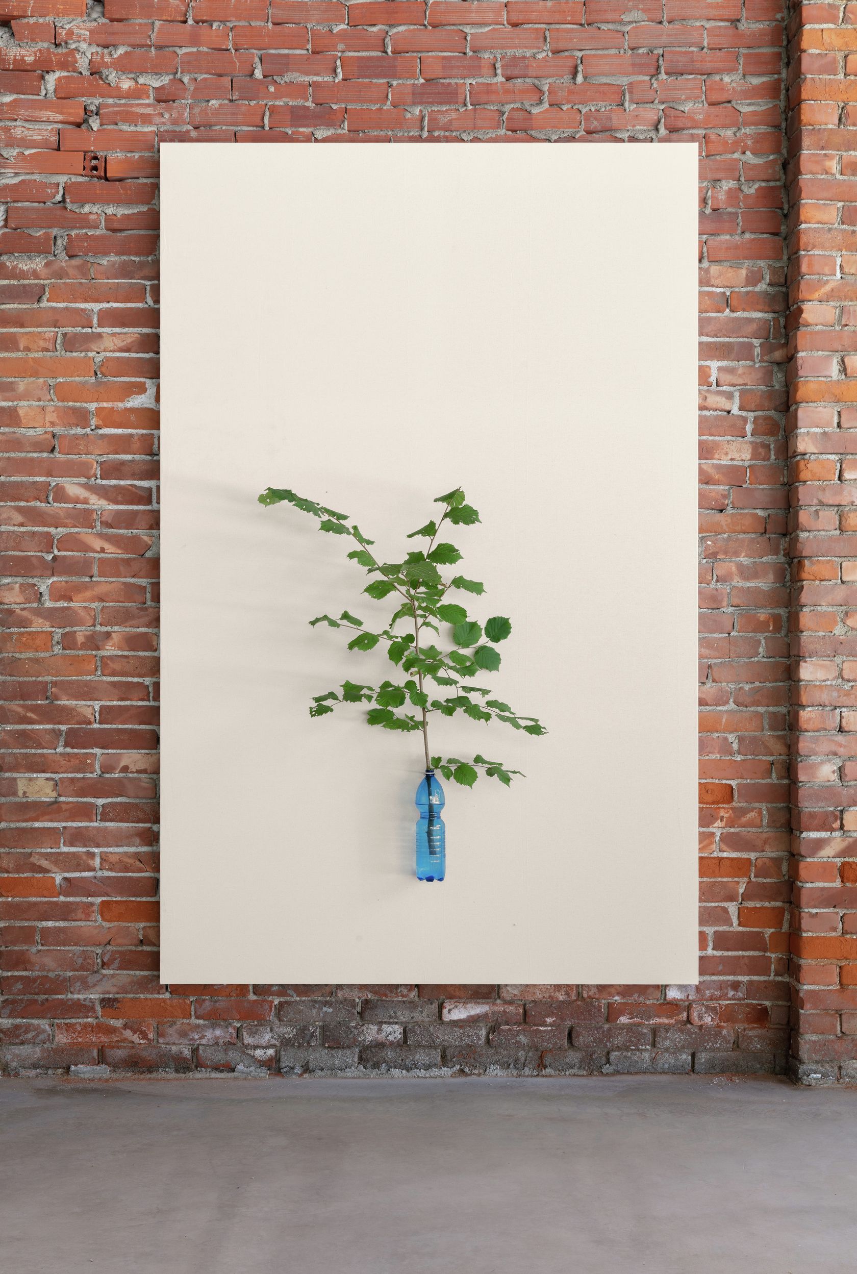 Henrik Håkansson, A Painting of a Tree (Corylus avellana), 2021