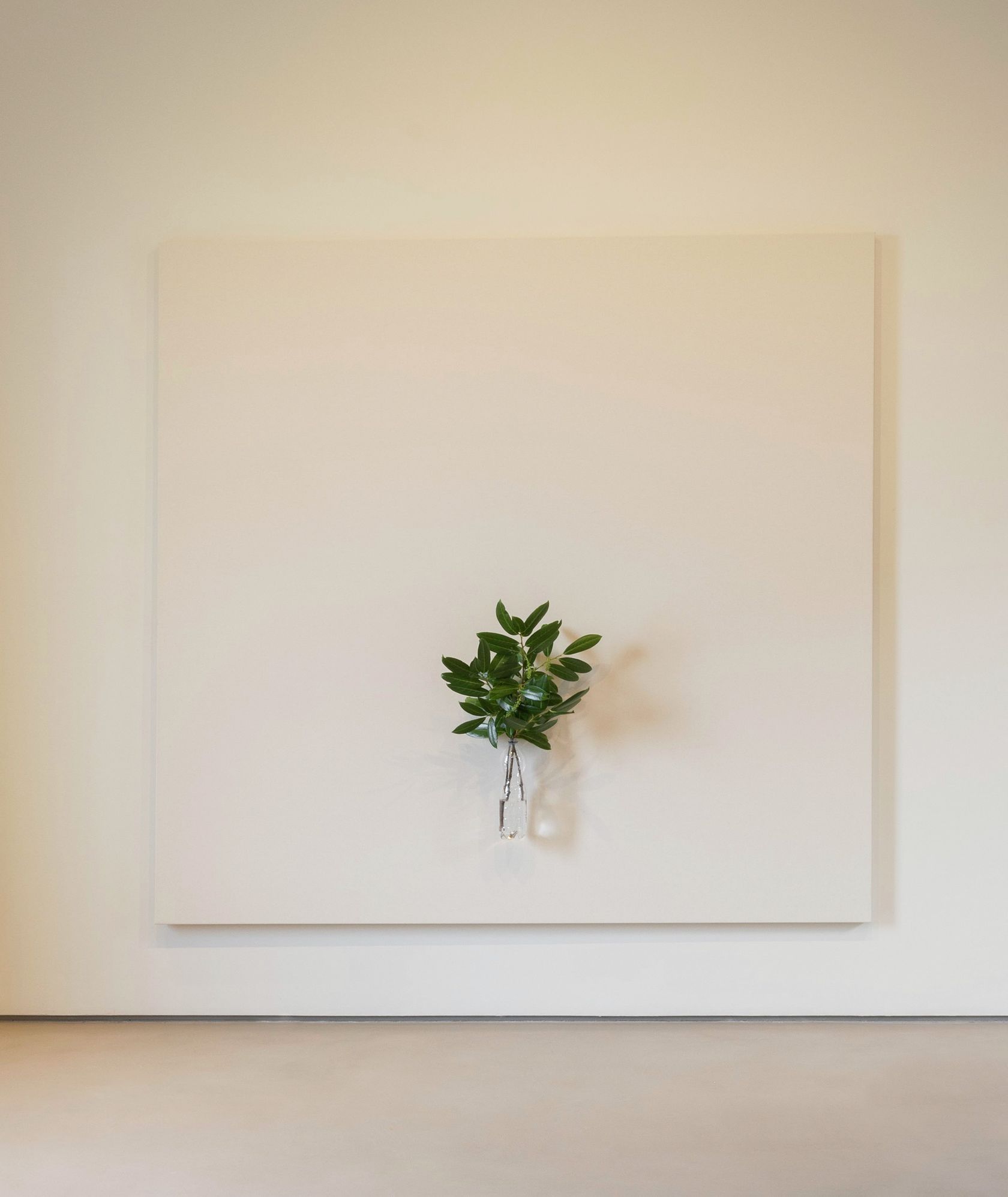 Henrik Håkansson, A Painting of a Tree (Prunus Laurocerasus), 2023