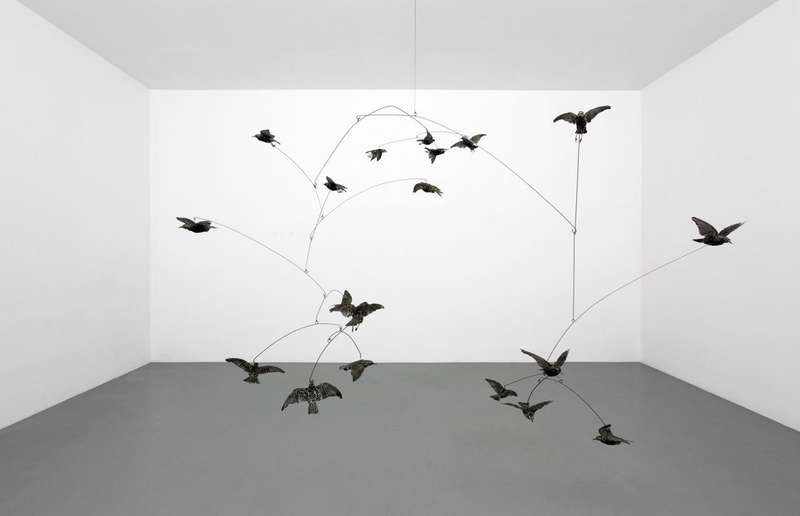 Henrik Håkansson, Untitled Swarm (Sturnus vulgaris) #3, 2011