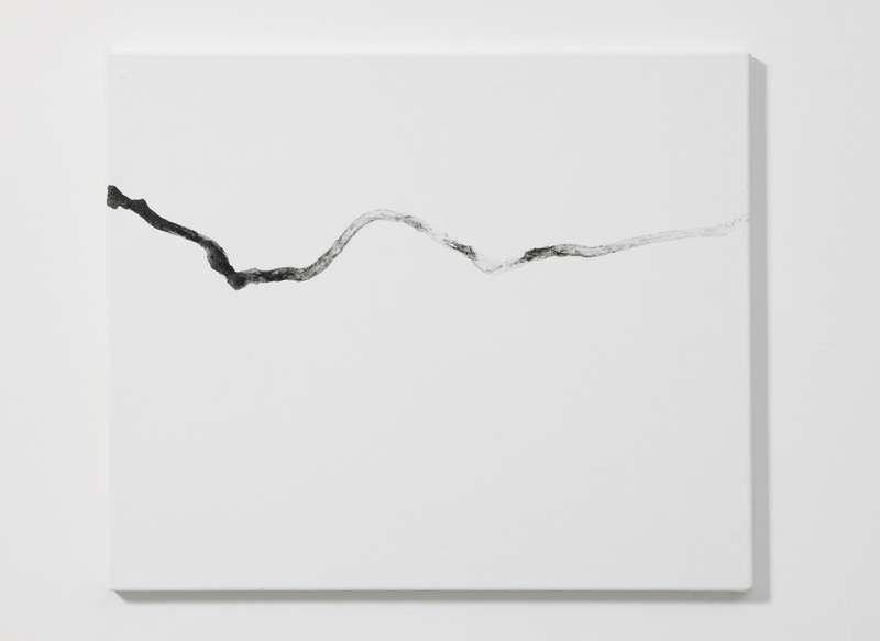 Henrik Håkansson, Oct.13.2013 (Helix Aspersa), 2013