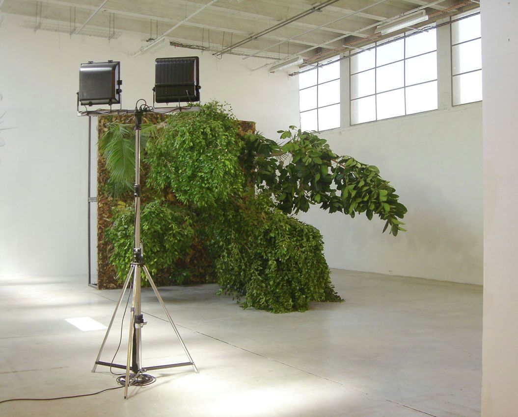 Henrik Håkansson, Fallen Forest, 2006