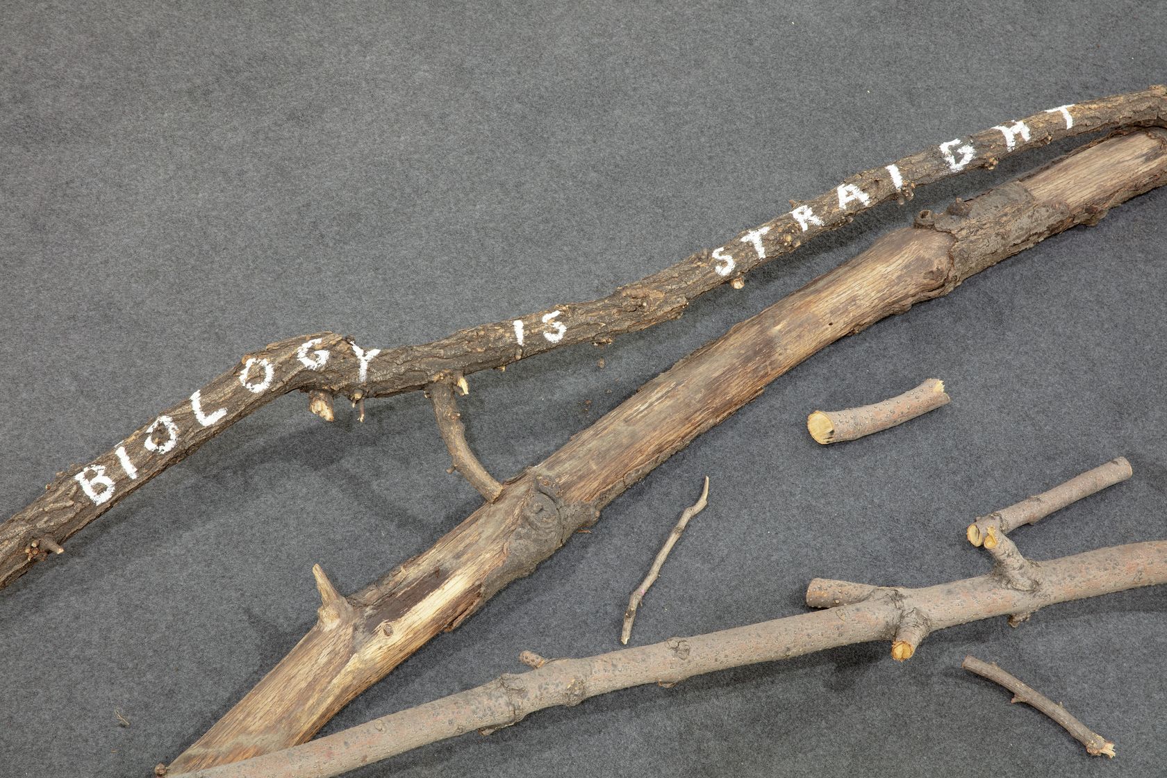Henrik Olesen, Biology is Straight, 2000