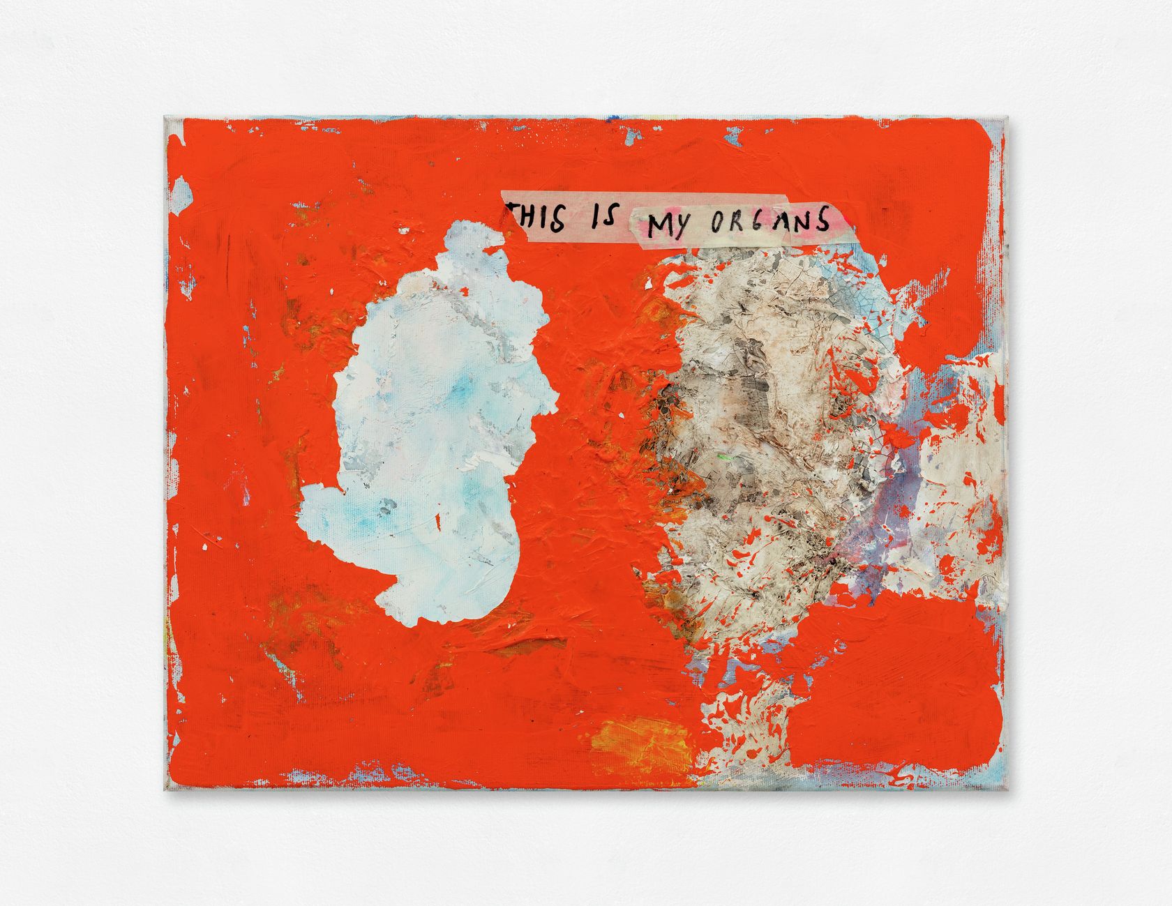 Henrik Olesen, This is my organs, 2022