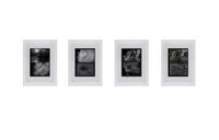 Henrik Olesen, After Dhalgren 16,21,22,23, 2016