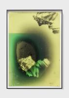 Henrik Olesen, Negative, 2018