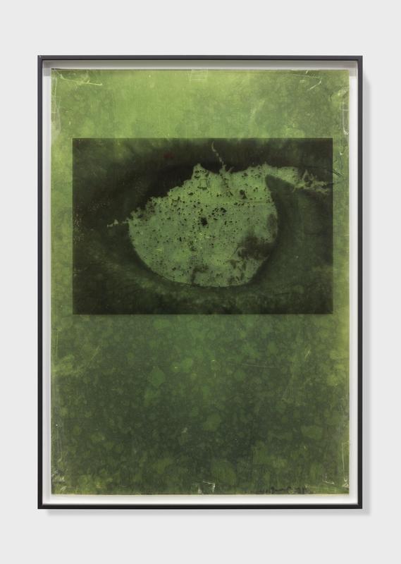 Henrik Olesen, Positive, 2018