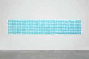 Jac Leirner, Skin (Juicy Jay's Cotton Candy King Size Slim), 2013