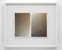 Jac Leirner, Brown Black, Black Brown , 2012