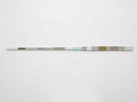 Jac Leirner, The Reinforcer, 2016