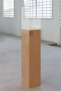 Jason Dodge, Medardo Rosso, Rieuse, 1890, wax, None