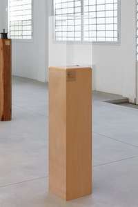 Jason Dodge, Not titled yet, 2023