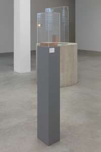 Jason Dodge, Not titled yet, 2023