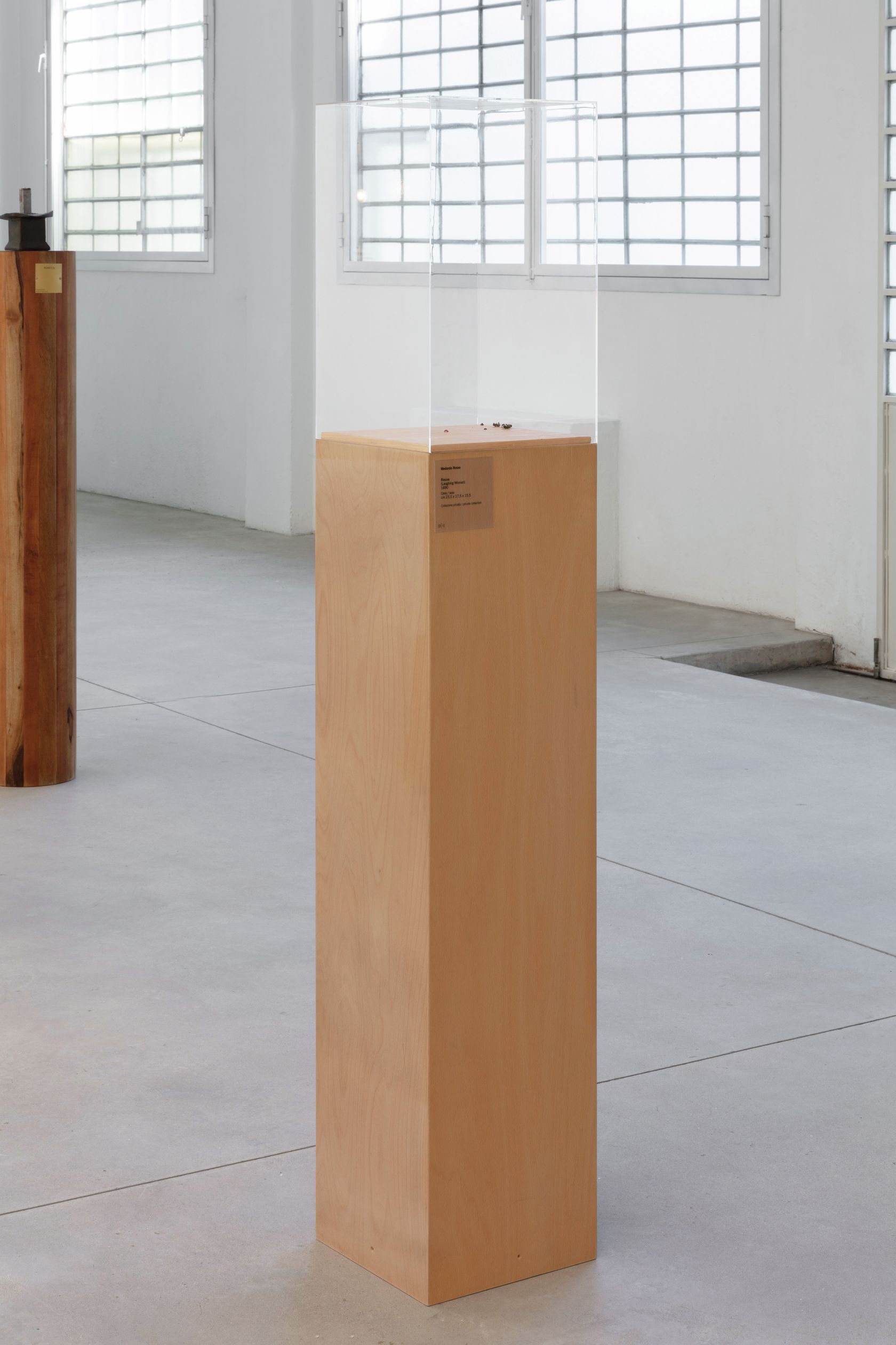 Jason Dodge, Not titled yet, 2023