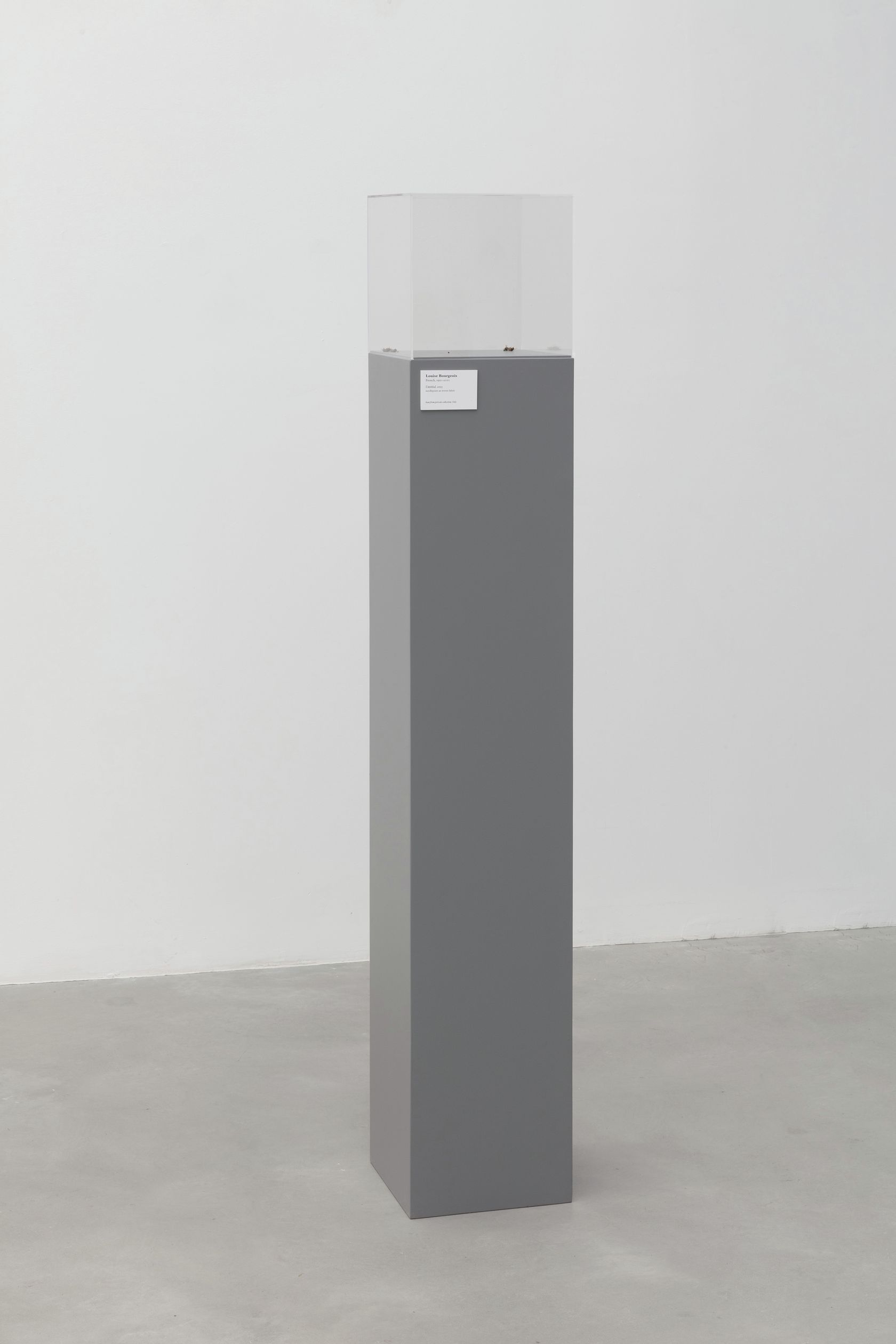 Jason Dodge, Not titled yet, 2023
