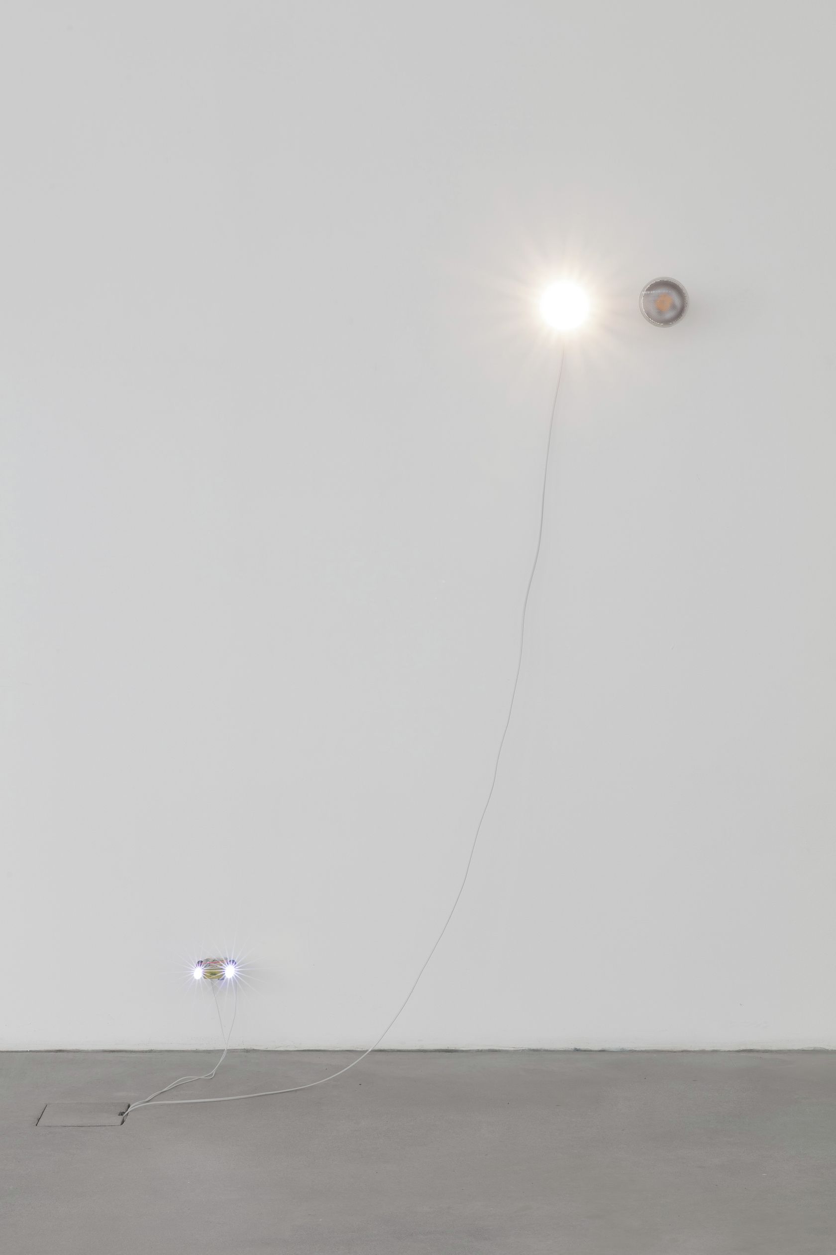 Jason Dodge, Not titled yet, 2023