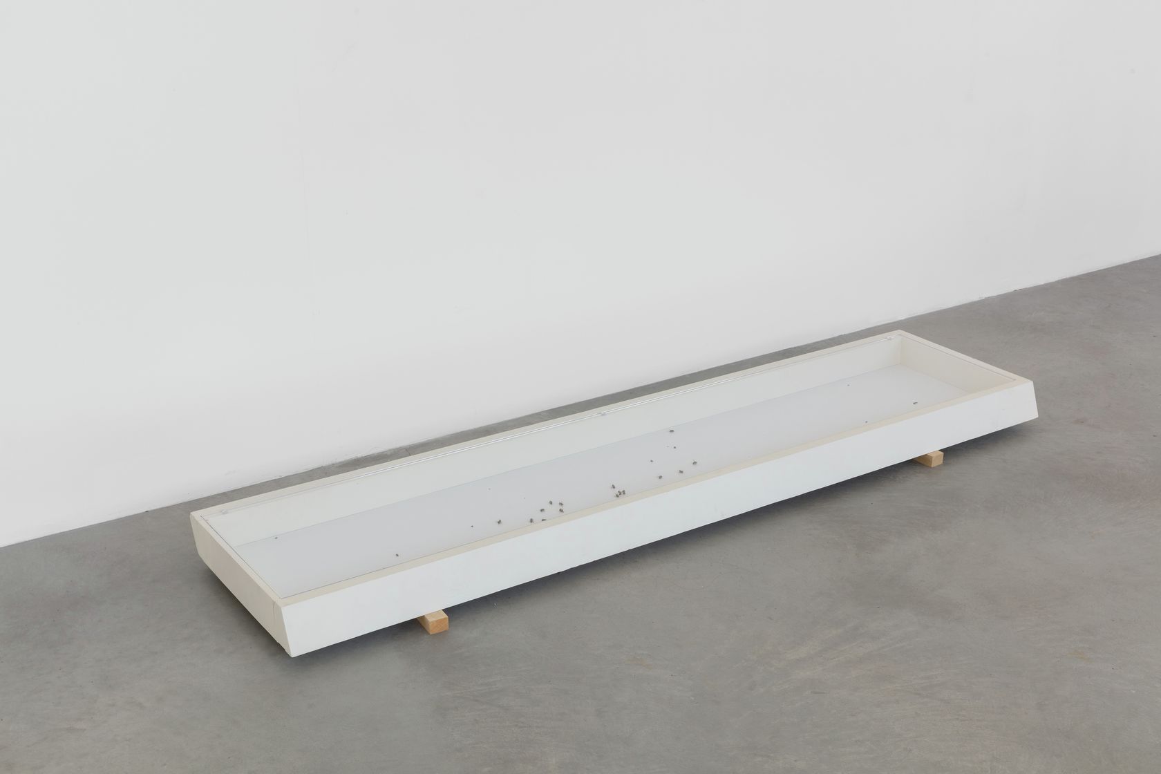 Jason Dodge, Lawrence Weiner, artist books, 1968-2005, None