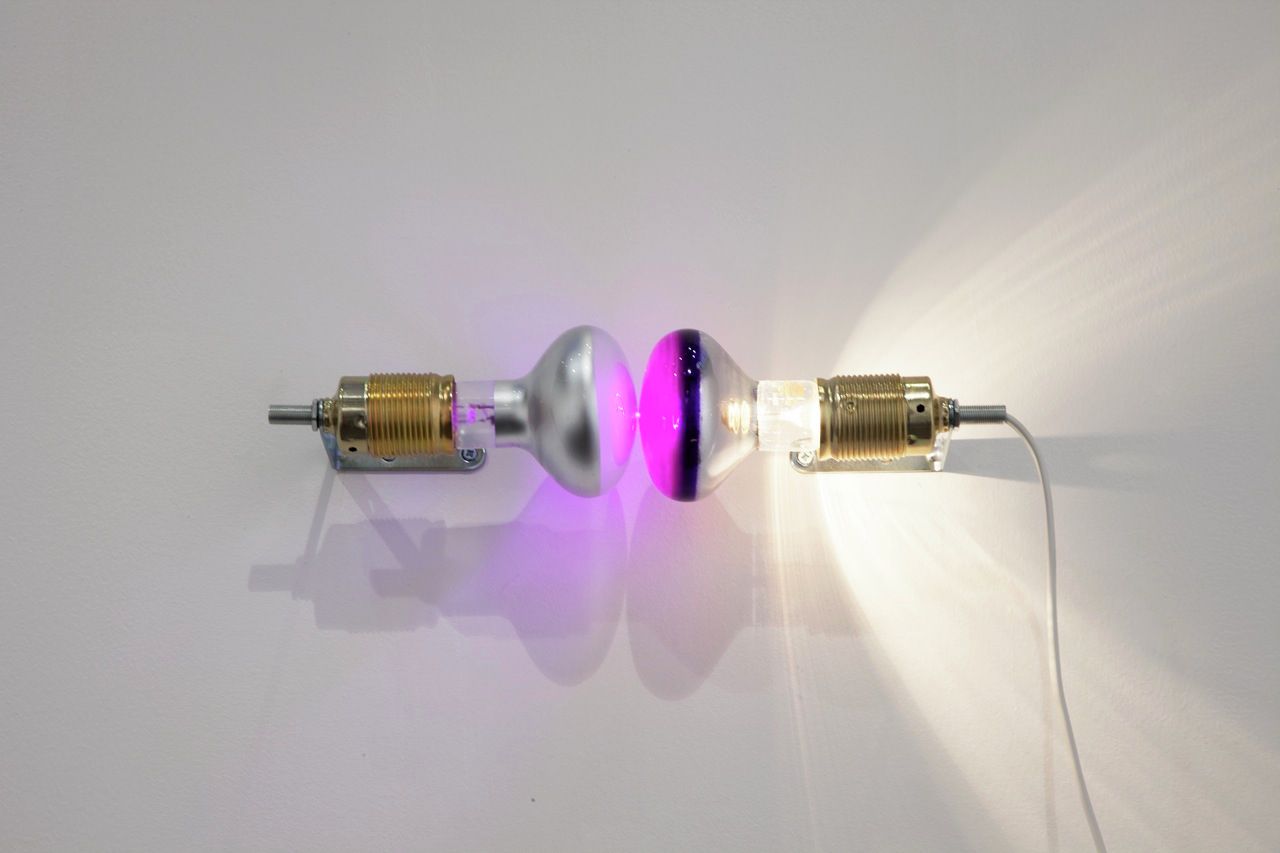 Jason Dodge, white light purple light, None