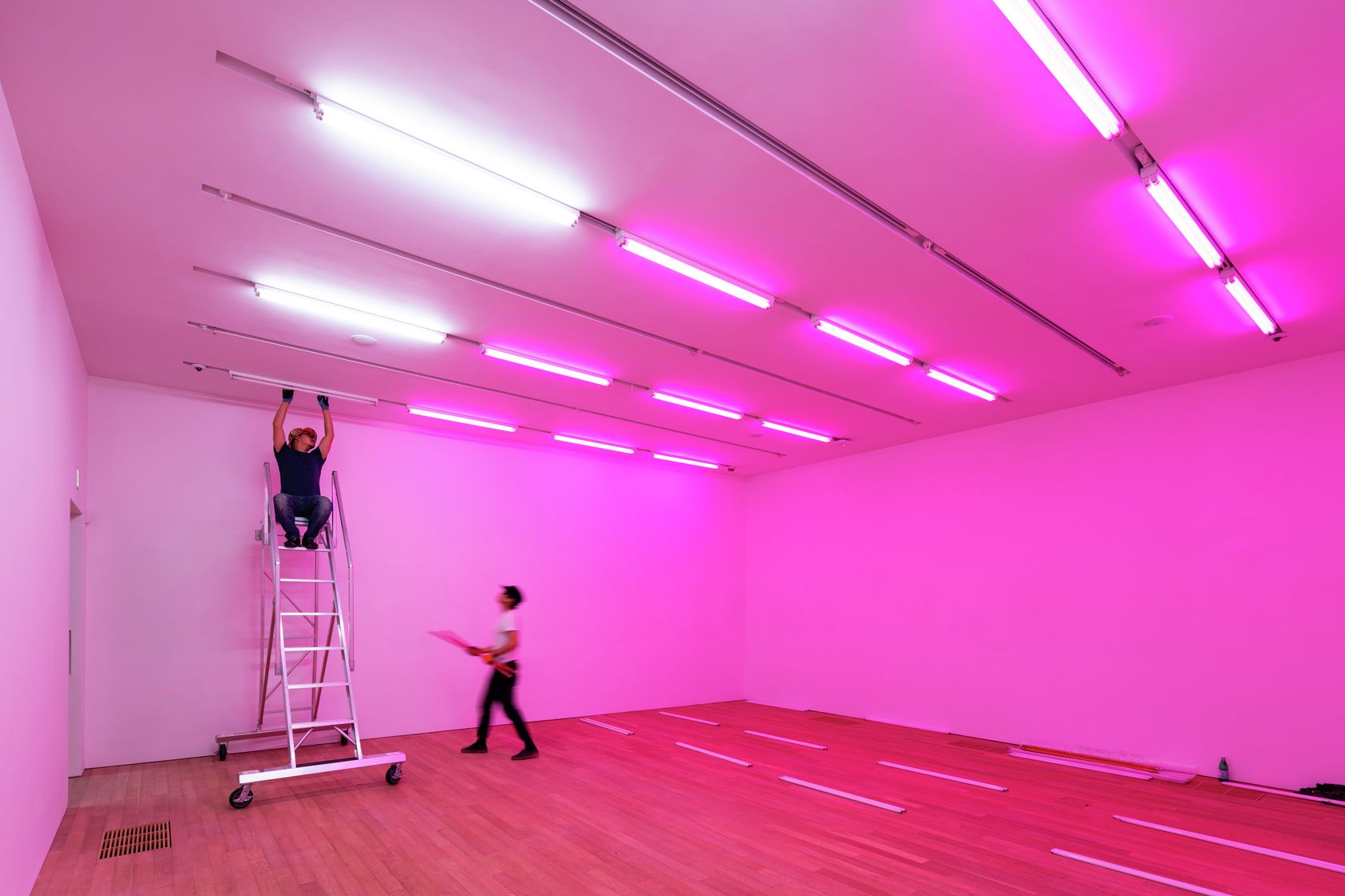 Jason Dodge, White light to rose light, rose light to white light by hand over and over again, None