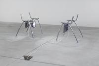Jason Dodge, , None