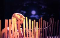 Jeff Burton, Untitled #151 (picket fence), 2001