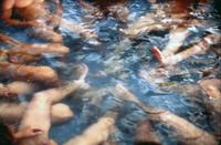 Jeff Burton, Untitled #164 (hot tub), 2001