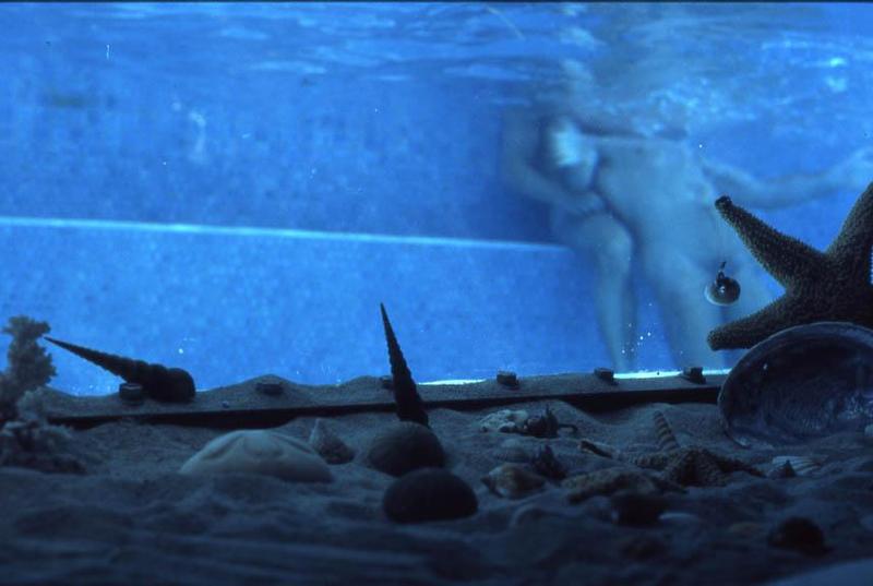 Jeff Burton, Untitled #168 (Pufferfish), 2003
