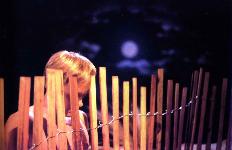 Jeff Burton, Untitled #151 (picket fence), 2001