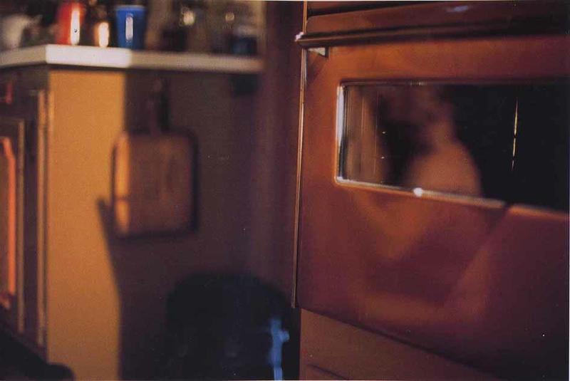 Jeff Burton, Untitled #20 (oven), 1995