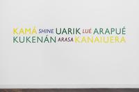 Lothar Baumgarten, River Pieces XXXI, Amazona farinose II, Venezuela, 1977, 2016