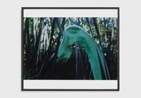 Lothar Baumgarten, Schwan/Leda [Culture - Nature series], 1970