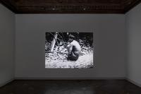 Lothar Baumgarten, Kanawa III, 1979 