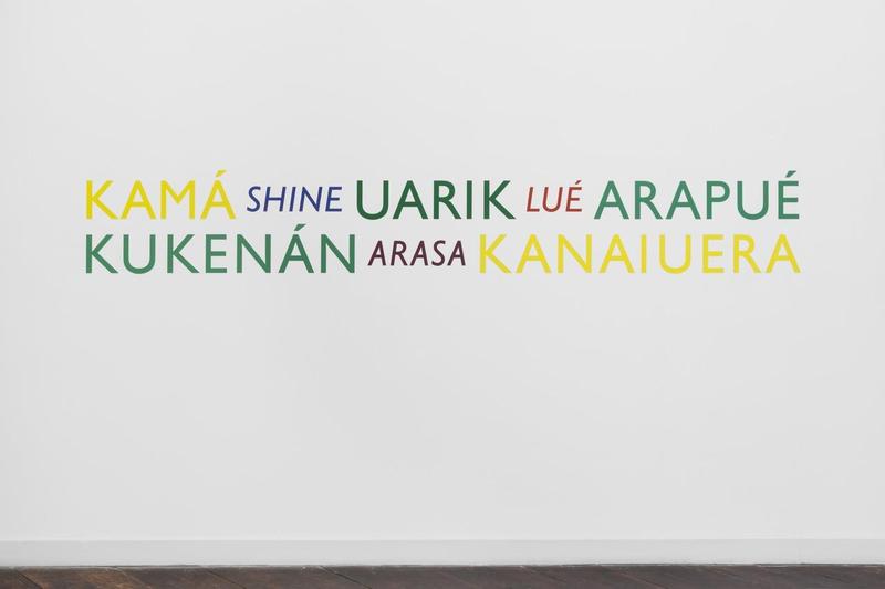 Lothar Baumgarten, River Pieces XXXI, Amazona farinose II, Venezuela, 1977, 2016