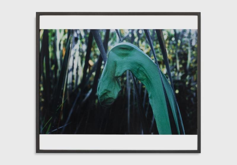 Lothar Baumgarten, Schwan/Leda [Culture - Nature series], 1970