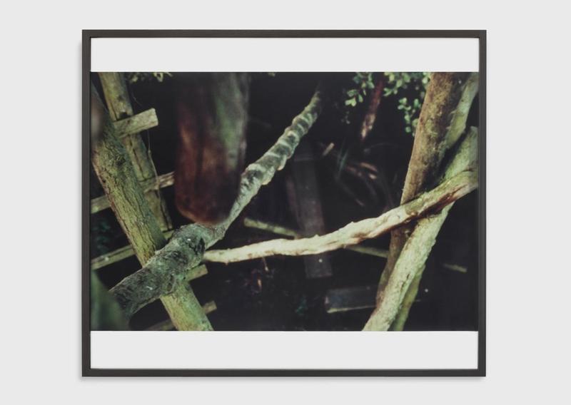Lothar Baumgarten, Erfassung und Reichweite (Seizure and range) [Culture - Nature series], 1969