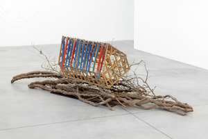 Lothar Baumgarten, [Arché] _ (Ark), 1969-2016