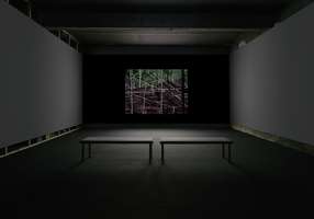 Lothar Baumgarten, Señores Naturales - Yãnomãmi , 1978 - 1980