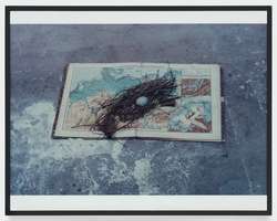Lothar Baumgarten, Sinnlicher Marmor, 1969