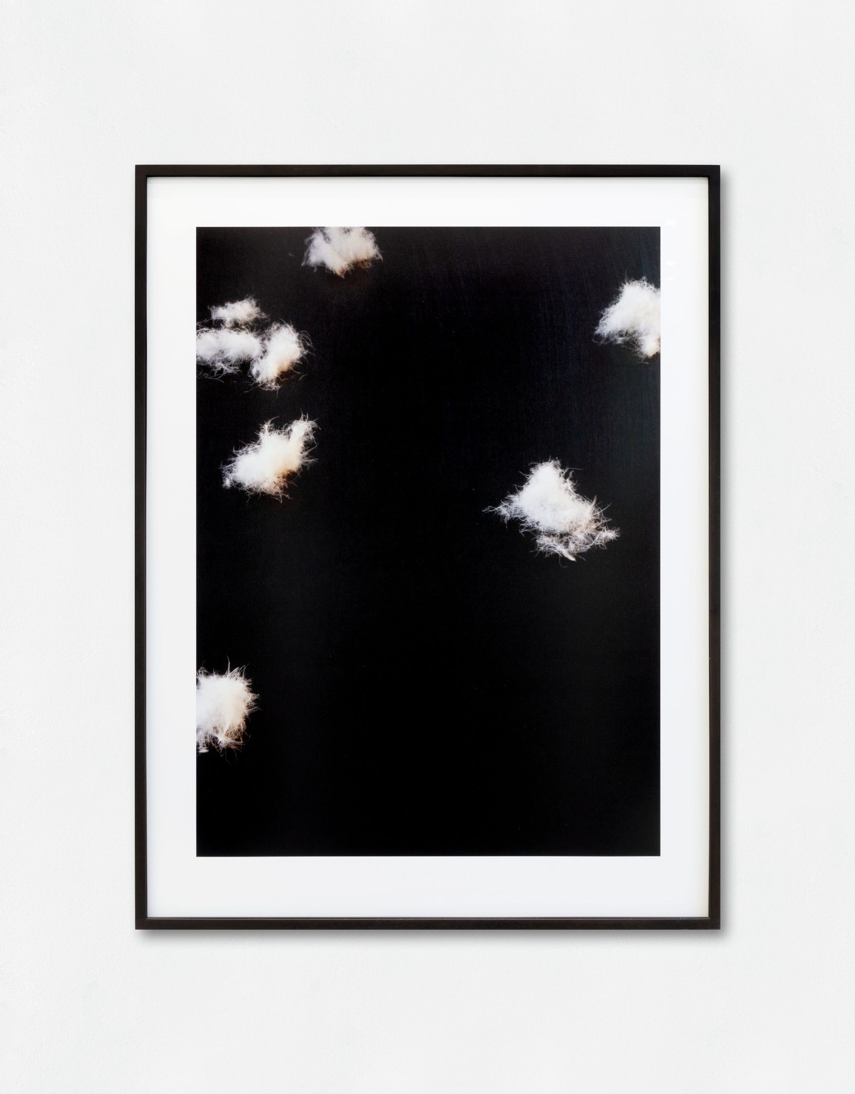Lothar Baumgarten, Firmament, 2014