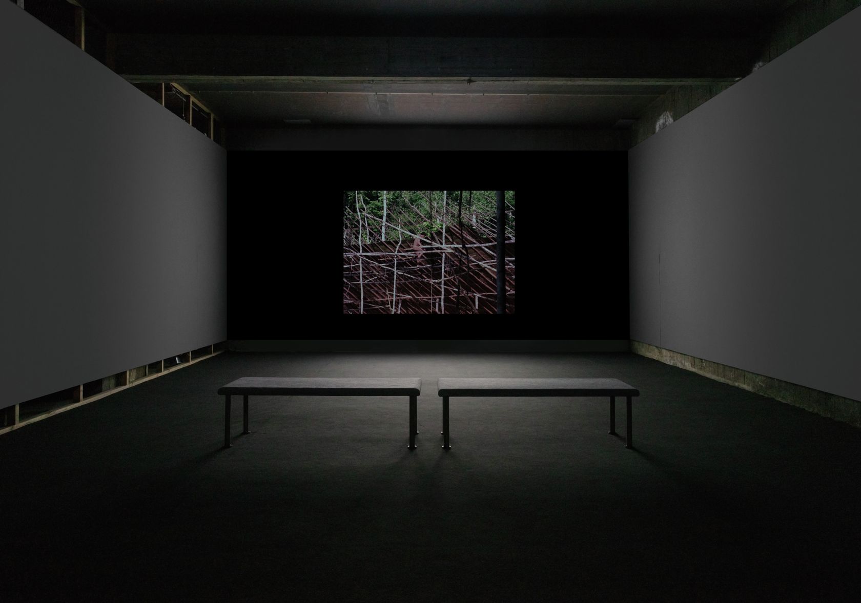 Lothar Baumgarten, Señores Naturales - Yãnomãmi , 1978 - 1980