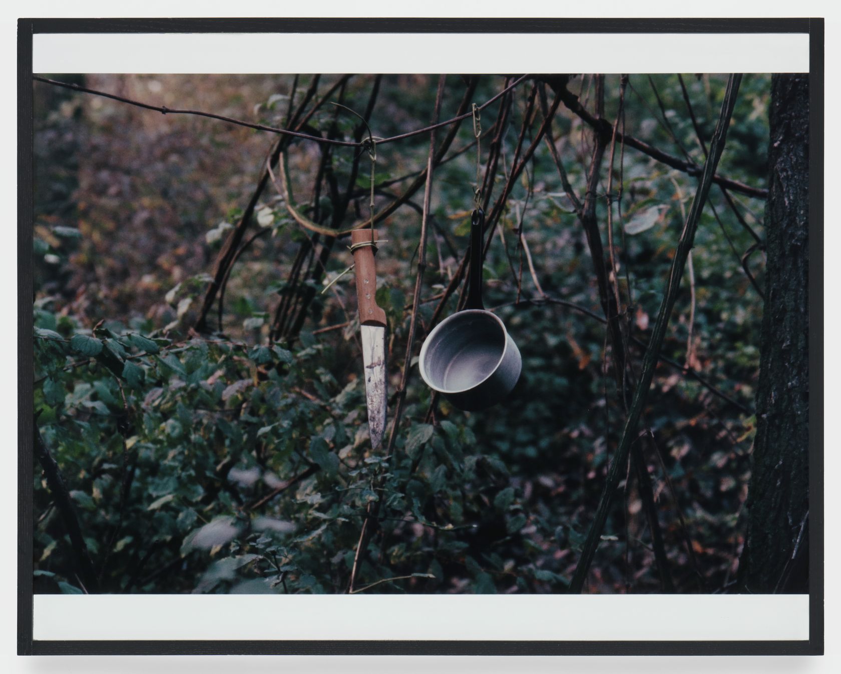Lothar Baumgarten, Sertanista, Doppelpendel (Sertanista, double pendulum), 1970