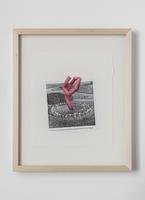 Mark Handforth, Project for Pink Fern , 2017
