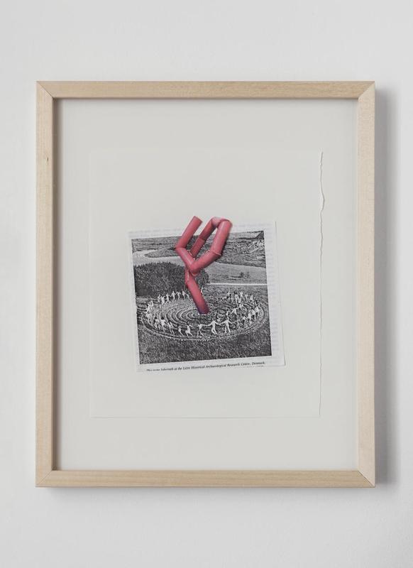 Mark Handforth, Project for Pink Fern , 2017